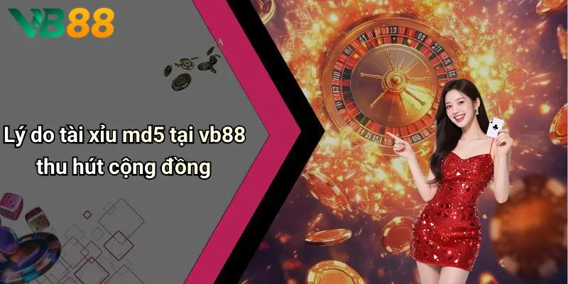 Lý do tài xỉu md5 tại vb88 thu hút cộng đồng